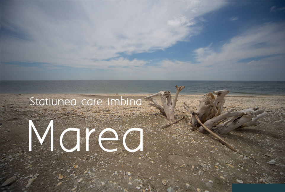 Marea