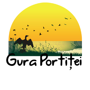 Gura Portitei